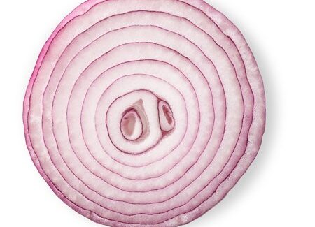 The Onion: an artist’s tool kit / Α workshop by Lia Haraki 20-21 of March