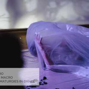 Micro and Macro Dramaturgies in Dance / Dance House Lemesos’ Creative Pair