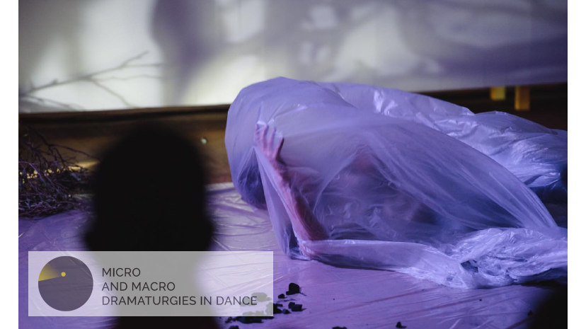 Micro and Macro Dramaturgies in Dance / Dance House Lemesos’ Creative Pair